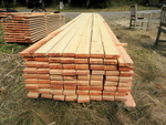 Freshly milled island fir flooring blanks