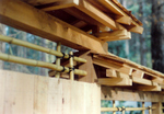 Cedar and bamboo fence